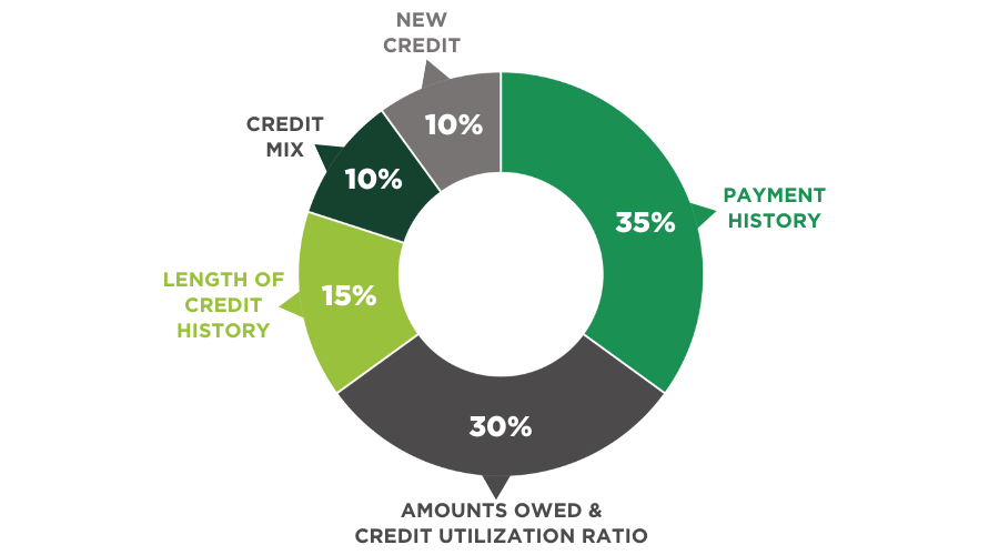 infographic explaining how a credit score is determined