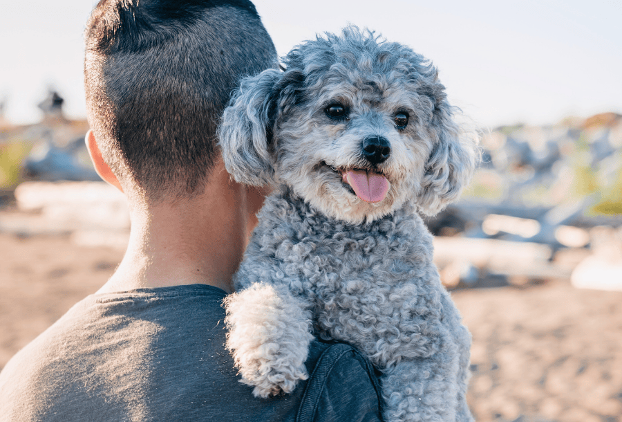 Pet owner with his dog after paying for a pet emergency with a personal loan.
