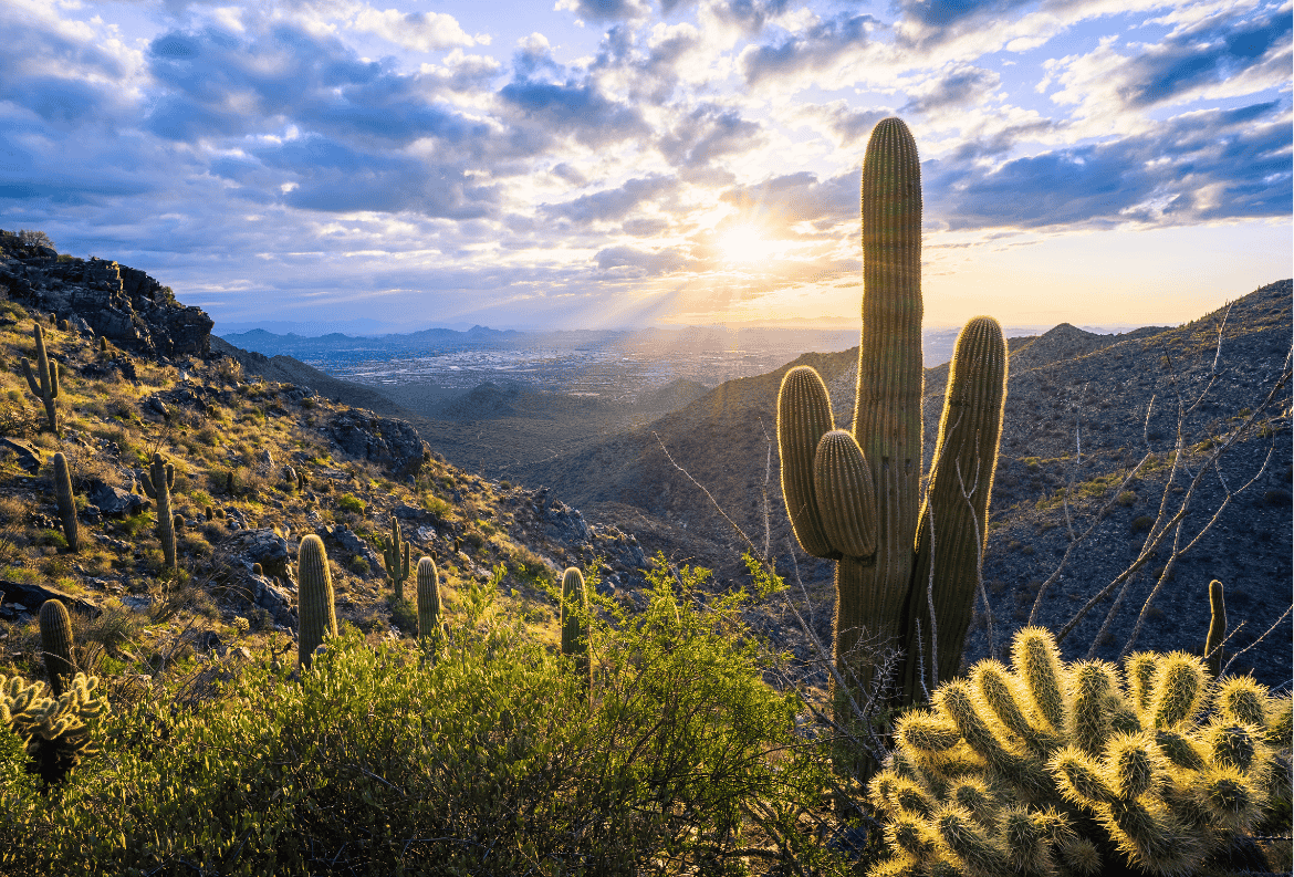 Scenic view in Scottsdale, Arizona, where money market accounts are the best savings option for locals.