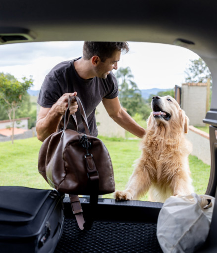 person and dog